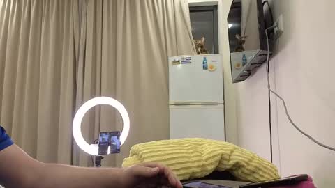 best_ass2000 online show from 14, 5, 2026