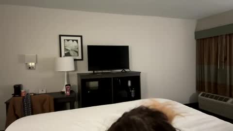 Bethanytakesitt online show from 22, 12, 2024