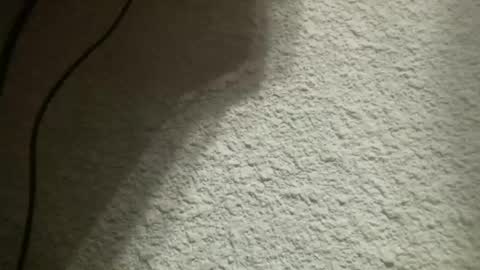 Bigfish123 online show from 4, 2, 2025