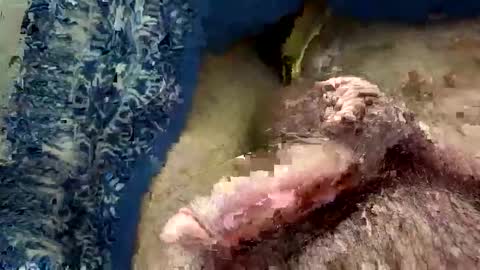 big88385909 online show from 20, 11, 2025