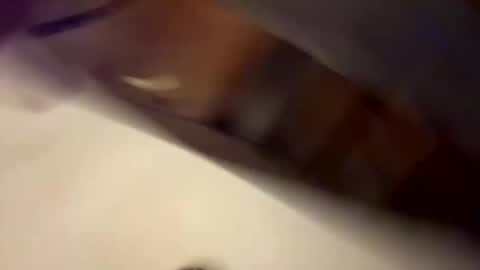 bigballsandcock777 online show from 9, 9, 2025