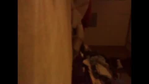 BB online show from 13, 11, 2025