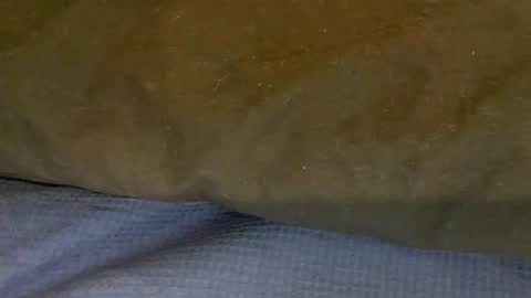 Snapshot of bigboii842 chatting on 15, 11, 2025 bigboii842 online show from 15, 11, 2025