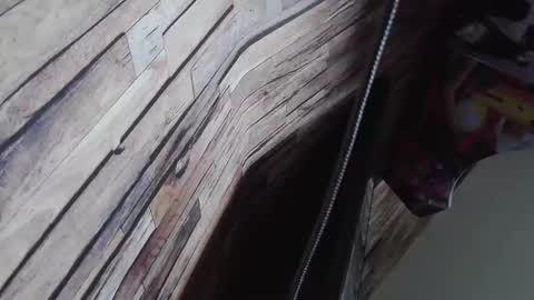 Snapshot of bigboyband chatting on 27, 12, 2024 Bigboyband online show from 27, 12, 2024