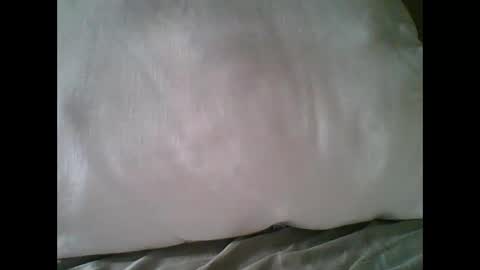 Snapshot of bigbravo337 chatting on 22, 11, 2025 bigbravo337 online show from 22, 11, 2025