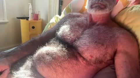Snapshot of bigbush1 chatting on 13, 7, 2026 big bush online show from 13, 7, 2026