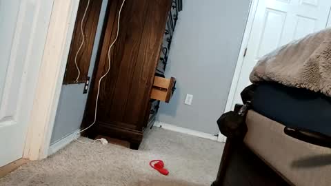 bigcockdaddy247 online show from 17, 12, 2024