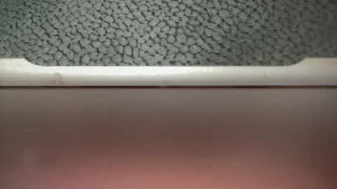 bigcocksuckingslut online show from 2, 2, 2025