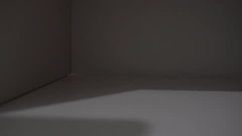 Frenchy bigD online show from 26, 4, 2026