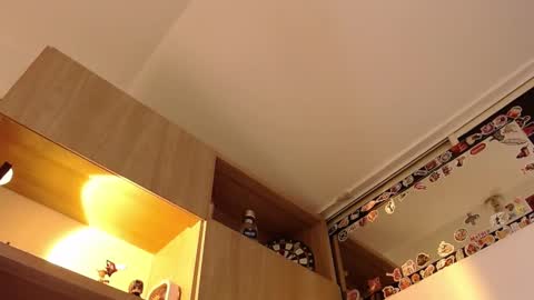 Nate online show from 8, 12, 2024