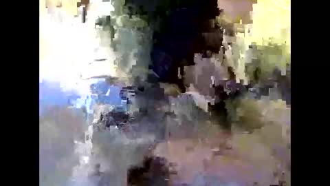 bigdaddydongarlets391292 online show from 24, 10, 2025