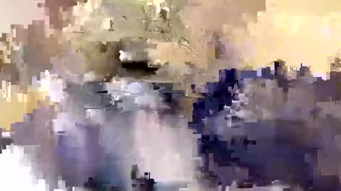 bigdaddydongarlets391292 online show from 16, 12, 2025