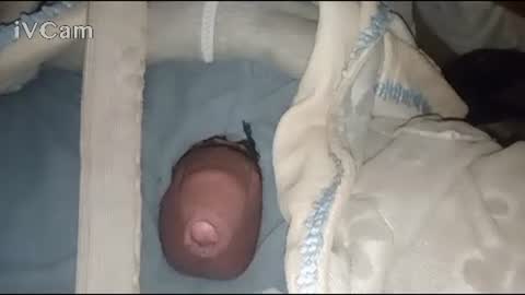 Big online show from 3, 2, 2025