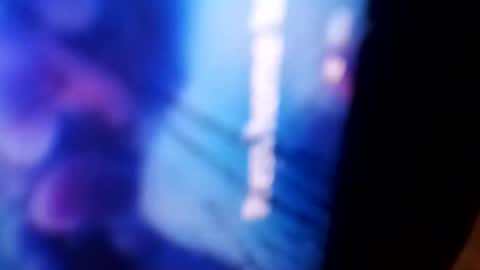 Snapshot of bigdickdaddy42023 chatting on 4, 12, 2024 Rooster P online show from 4, 12, 2024