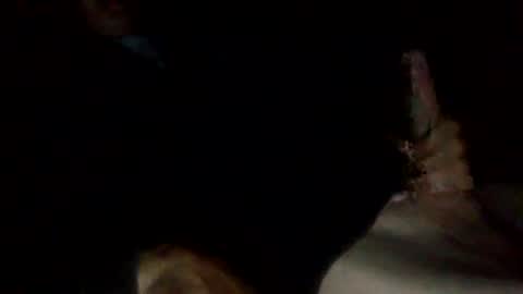 bigdickdangles472924 online show from 25, 7, 2026