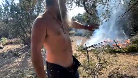 Snapshot of bigdickedbi chatting on 21, 12, 2024 Bearded Dad online show from 21, 12, 2024