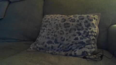 Snapshot of bigdt444420 chatting on 17, 11, 2025 bigdt444420 online show from 17, 11, 2025