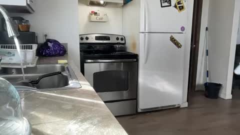 Daniel  Noelia online show from 27, 11, 2025