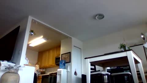 bigjoed233 online show from 10, 1, 2026