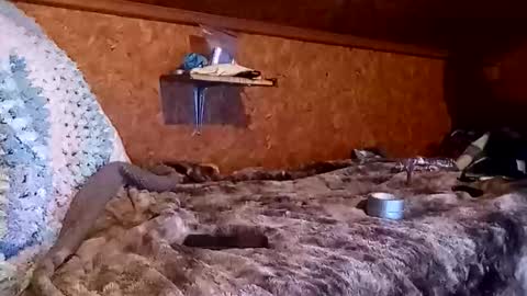 Snapshot of bigmike5081 chatting on 18, 12, 2025 bigmike5081 online show from 18, 12, 2025