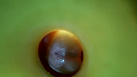 bigmoneycorey online show from 16, 3, 2026