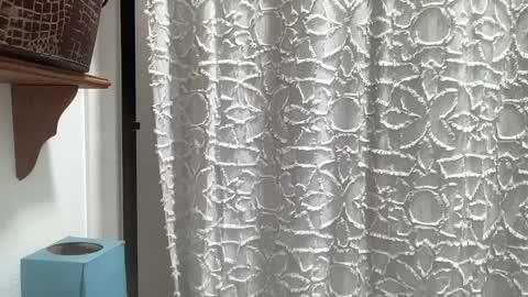 Jay online show from 21, 9, 2025