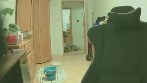 bigredkong7777 online show from 9, 9, 2025