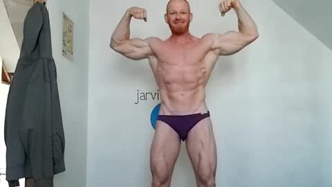 Jarvis online show from 29, 12, 2024