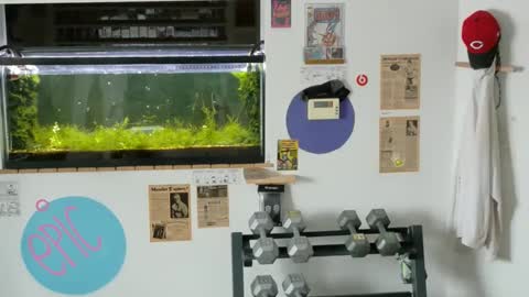 Jarvis online show from 14, 2, 2025