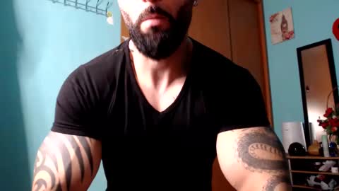 Snapshot of bigstallone chatting on 8, 12, 2024 BigStallion online show from 8, 12, 2024