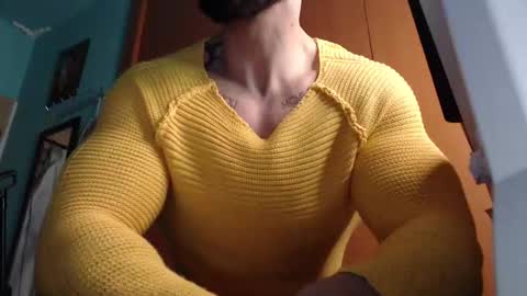 BigStallion online show from 5, 3, 2026