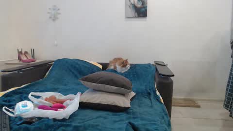 BigTwinsOmg online show from 27, 2, 2026