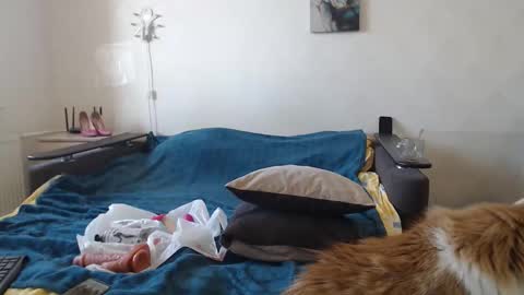 BigTwinsOmg online show from 11, 3, 2026