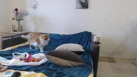 BigTwinsOmg online show from 16, 3, 2026