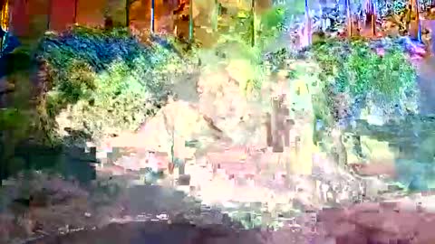 Snapshot of bigwytecock1979 chatting on 9, 12, 2024 bigwytecock1979 online show from 9, 12, 2024