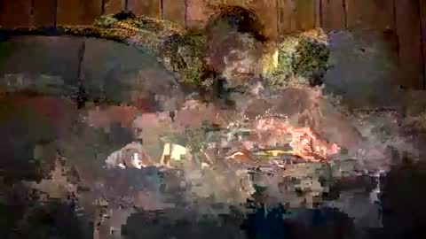 Snapshot of bigwytecock1979 chatting on 11, 12, 2024 bigwytecock1979 online show from 11, 12, 2024