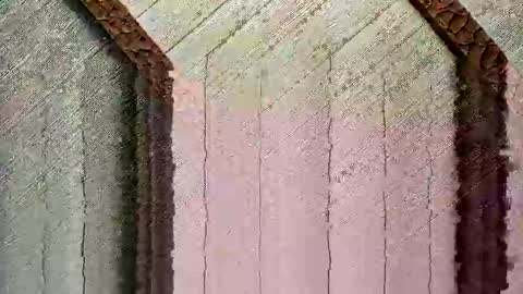 Snapshot of bigwytecock1979 chatting on 24, 12, 2024 bigwytecock1979 online show from 24, 12, 2024