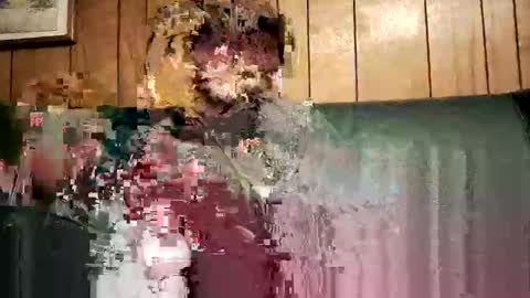 Snapshot of bigwytecock1979 chatting on 3, 2, 2025 bigwytecock1979 online show from 3, 2, 2025