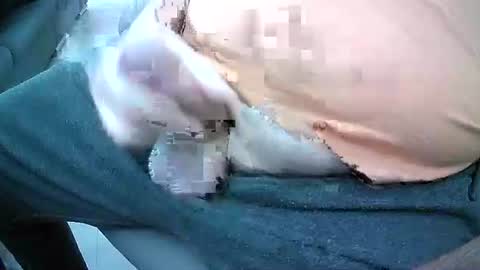 bikeman17 online show from 4, 10, 2025