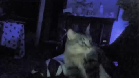 Snapshot of billenews chatting on 26, 2, 2026 billenews online show from 26, 2, 2026