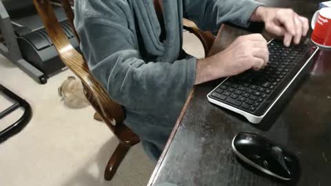 Snapshot of billy471 chatting on 10, 12, 2024 billy471 online show from 10, 12, 2024