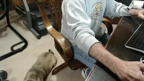 billy471 online show from 18, 3, 2026