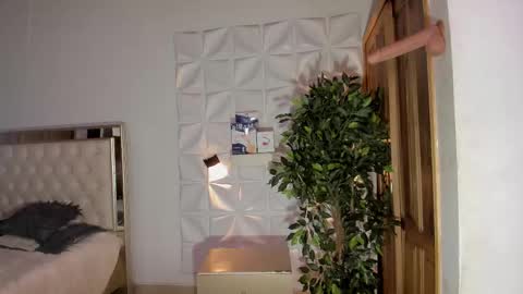 Sam online show from 8, 11, 2025