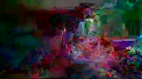 billyboybigpants online show from 2, 4, 2026