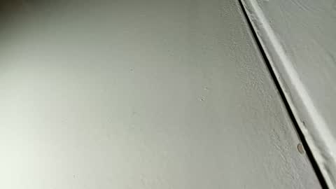 Snapshot of bilmapiedradura chatting on 19, 1, 2025 Bill online show from 19, 1, 2025