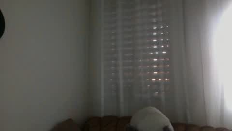 Snapshot of bilmapiedradura chatting on 16, 2, 2025 Bill online show from 16, 2, 2025