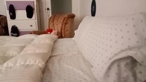 Snapshot of bilmapiedradura chatting on 19, 9, 2025 Bill online show from 19, 9, 2025