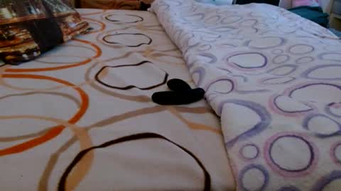 Bill online show from 16, 3, 2026