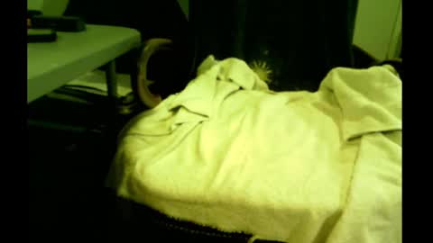 Snapshot of bimale4hotphuk chatting on 21, 2, 2025 bimale4hotphuk online show from 21, 2, 2025