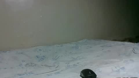 bitchcam_ online show from 28, 11, 2025